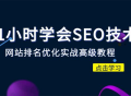 （站长必修课）学会SEO技术 网站排名优化实战高级教程-秒杀市面95%收费几千的SEO教程