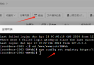 99AI3.3二开稳定版（NineAi内核升级）免授权无后门AI系统源码下载及详细安装教程
