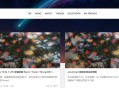   2022-12-12Clien瀑布流文章主题模板 WordPress主题模板