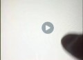   2021-07-25兔子团聚星社区app整理修复版 带完整搭建视频教程