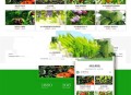   2021-05-10响应式生态水果蔬菜商城网站模板(自适应手机移动端) | 织梦dedecms